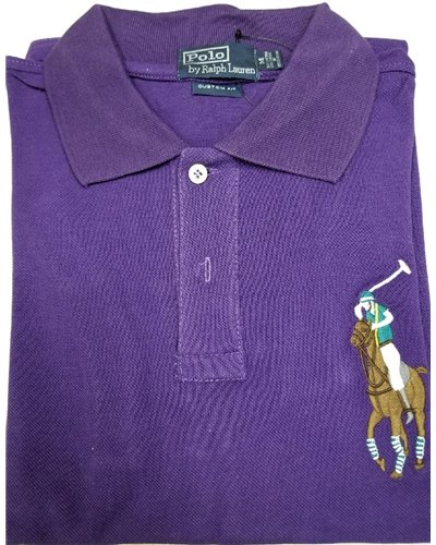 Ralph Lauren Multicolor Big Pony Short Sleeve Polo Shirt Purple