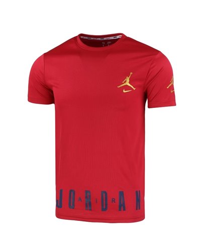 Nike Jordan Men's Sport Dri-Fit Shorts & T Shirt 2 Pc Set