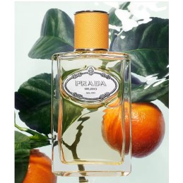Prada  Infusion Mandarine EDP Spray 3.4 oz Fragrances