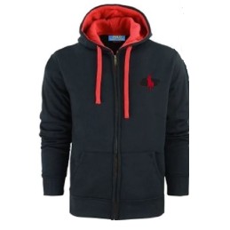 Polo Colorblock Fleece Zip Hoodie & Pants Set