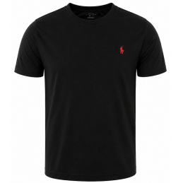 R.L Polo Men's Shorts & T Shirt 2 Pc Set