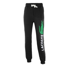 Lacoste Cotton Fleece Pullover Hoodie & Pants Set