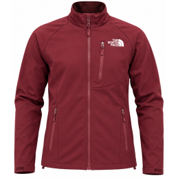 The Northface Apex Bionic  Hoodie - Men's