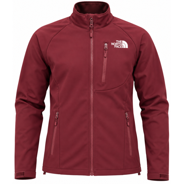 The Northface Apex Bionic  Hoodie - Men's